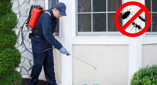 Soğukkuyu Karınca İlaçlama böcek ilaçlama ve haşere kontrolü — ilaclama-tr.com